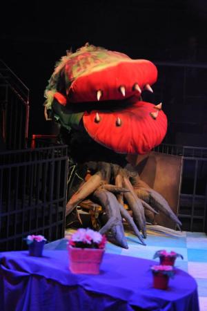 LITTLE SHOP OF HORRORS, DENVER, PHAMALY, THEATRE